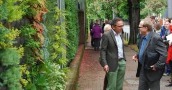 Lärmschutzwand im Garten: von Gabionen bis zur bepflanzten Fassade