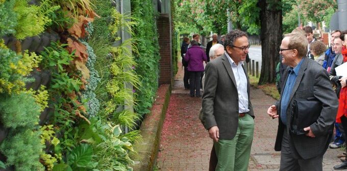 Lärmschutzwand im Garten: von Gabionen bis zur bepflanzten Fassade