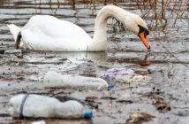 Wasserverschmutzung: Folgen und was dagegen getan wird ( Foto: Shutterstock- Nenad Nedomacki )