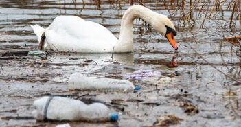 Wasserverschmutzung: Folgen und was dagegen getan wird ( Foto: Shutterstock- Nenad Nedomacki )