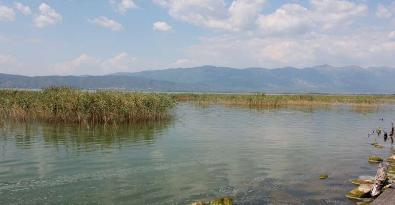 Idyllisch strahlt der griechische See Doirani bei Kilkis eine gewisse Ruhe auf Einheimische und Touristen aus. 2002 geschah jedoch das Unvorstellbare: Ein heftiger Sturm saugte sämtliche Lebewesen aus dem Wasser und ließ sie kurze Zeit später, wie Regen vom Himmel regnen. Naturereignisse wie die Froschregen ereignen sich in Griechenland mittlerweile jährlich. ( Lizenzdoku: Shutterstock-Electrofear Digital Art )