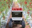 SRC: Pestizide einsparen durch Mini-Roboter ( Foto: Adobe Stock kinwun )