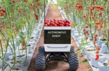 SRC: Pestizide einsparen durch Mini-Roboter ( Foto: Adobe Stock kinwun )