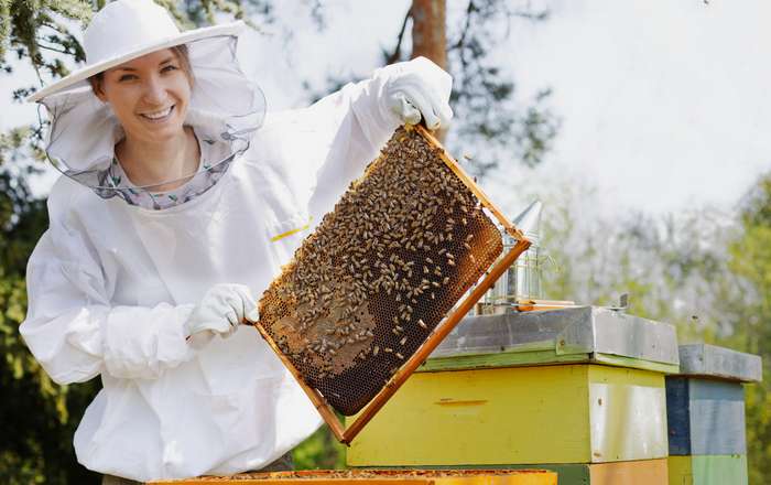 Bienen gehören zu den wichtigsten Bestäubern, ohne sie gäbe es viele Pflanzen gar nicht mehr. ( Foto: Adobe Stock - disq )