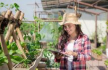 Rooftop Farming: Technik, Trends und warum uns die Landwirtschaft aufs Dach steigt ( Foto: Adobe Stock - Odua Images )