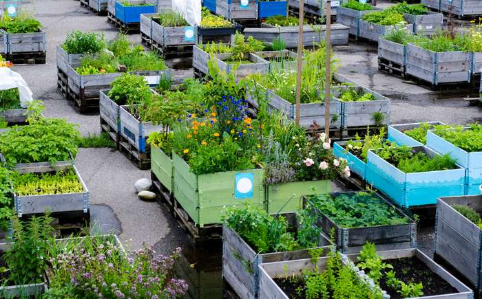 Einer der größten Vorteil des Rooftop Farmings betrifft die Nutzung der Ressourcen. Stoff- und Energiekreisläufe aus dem Gebäude und der Landwirtschaft, die auf dem Dach des Gebäudes angesiedelt ist, gehen eine Symbiose ein. ( Foto: Adobe Stock - bettysphotos ) 