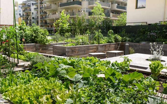 Viele Länder haben es schon vorgemacht, unter anderem gibt es das Rooftop Farming schon seit vielen Jahren in Singapur. ( Foto: Adobe Stock - Olena )