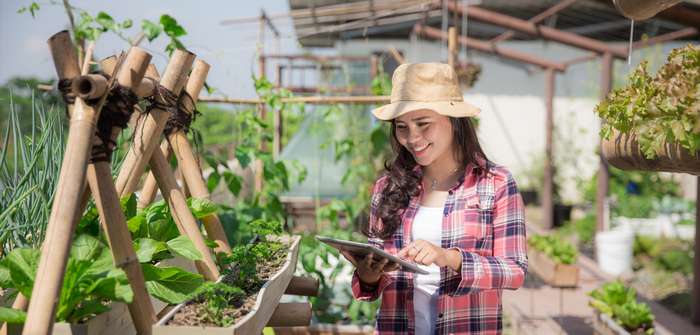 Rooftop Farming: Technik, Trends und warum uns die Landwirtschaft aufs Dach steigt ( Foto: Adobe Stock - Odua Images )
