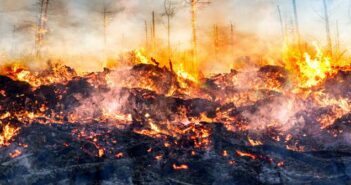 Climate Connect Digital: Temperatur in Zentralindien wird um 1,2°C steigen, verheerende Waldbrände sind die Folge ( Foto: Adobe Stock - m.mphoto_)