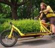 Die Cargobike Roadshow bietet kostenlose Probefahrten in 29 (Foto: AdobeStock - Ints 66206793)
