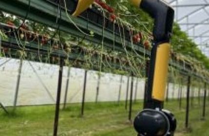 Hightech-Lösungen für eine nachhaltige Landwirtschaft (Foto: Hightech in der Landwirtschaft: Fraunhofer-Institute präsentieren neueste Entwicklungen auf der MeLa 2023(Fraunhofer-Institut für Graphische Datenverarbeitung IGD))