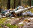 Kosten für Müllentsorgung an Landesstraßen steigen (Foto: AdobeStock 294863004 Алексей Черепков)