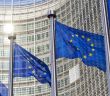 Europäische Verordnung zu genomeditierten Pflanzen: Diskussionen und (Foto: AdobeStock - VanderWolf Images 70568070)
