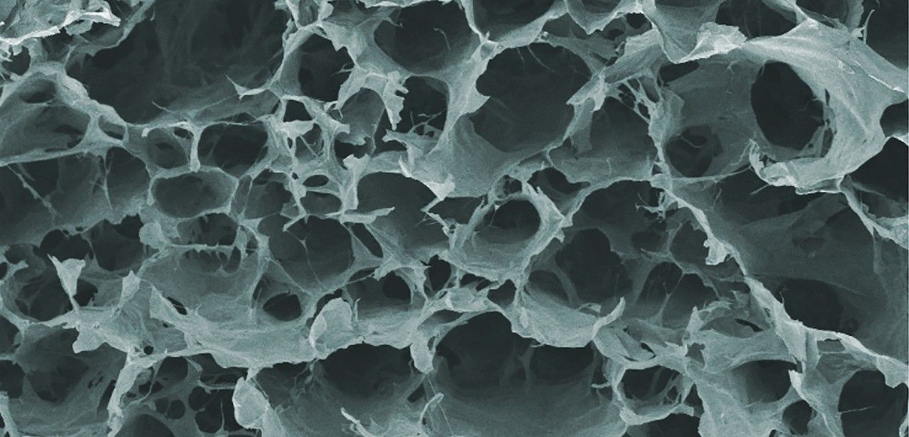 Bahnbrechende Entdeckung: Hochwertige Nanocellulose aus Bierabfall (Foto: Empa)