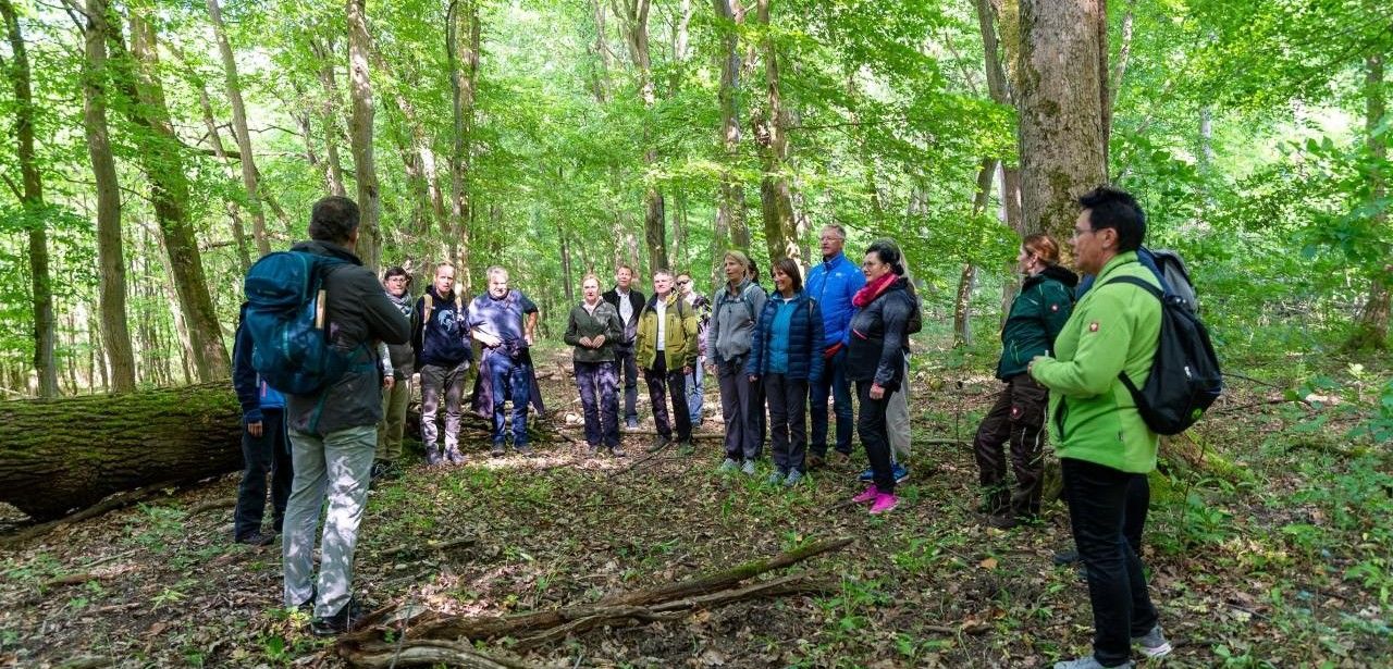 Erholung und Inspiration im WaldResort - Am Nationalpark (Foto: Christopher Schmid)