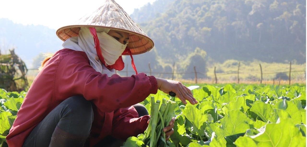 ADRA ruft zum Handeln gegen den Hunger auf (Foto: ADRA Laos)