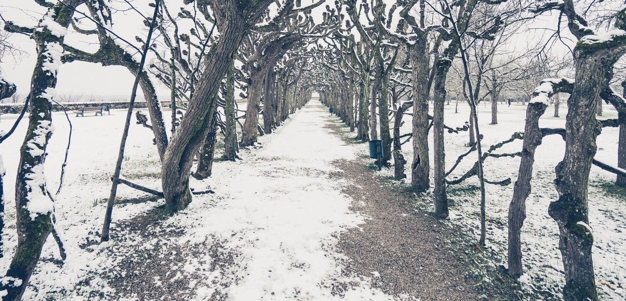 Stolanus Mayr: Ein Meister der Gartenkunst in Dachau (Foto: AdobeStock - Pabkov 217582088)