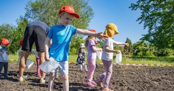 Neue Futterquelle für Energie-Bienen der Stadtwerke Weimar (Foto: Stadtwerke Weimar Stadtversorgungs-GmbH)