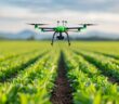 Umweltschutz – Precision Farming für eine grüne Zukunft (Foto: AdobeStock - 913576282 Pachara)
