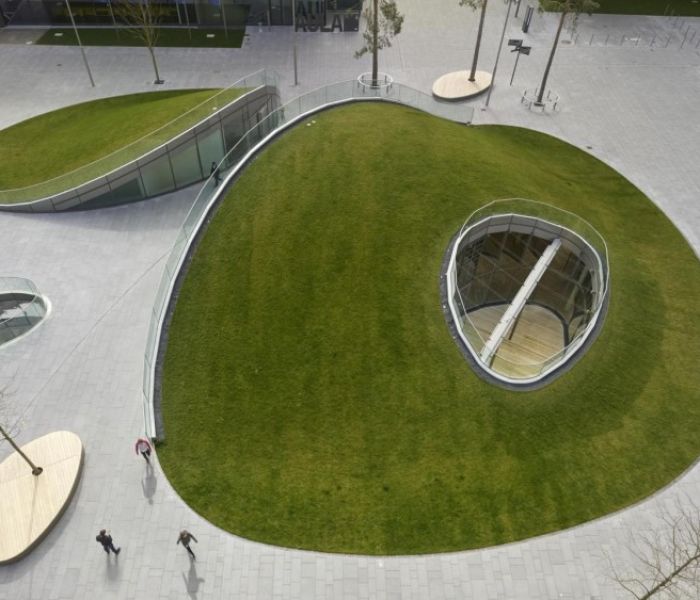 Innovative Schrägdachbegrünung von Optigrün auf dem Bildungscampus (Foto: Optigrün international AG)