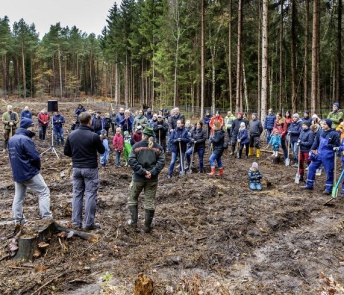 Zahlreiche Naturfreunde kamen in den Stadtwald von Wittenburg (Foto: WEMAG/Stephan Rudolph-Kramer)