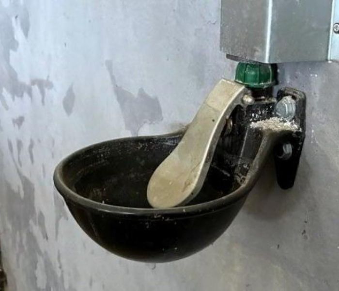 Pferdetr&auml;nke: Ein Sto&szlig; mit dem Maul gegen die Platte (oben) &ouml;ffnet (Foto: Gr&uuml;nbeck AG)