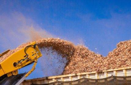 Regionale Holz-Biomasse von Schmidmeier sichert klimaneutrale Prozesswärme und (Foto: AdobeStock - Gustavo - 465148058)