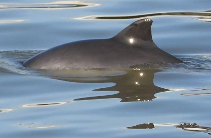 Wilhelmshaven lädt im Frühjahr 2026 zu zehn unvergesslichen (Foto: TOURISMUS-AGENTUR NORDSEE GMBH)